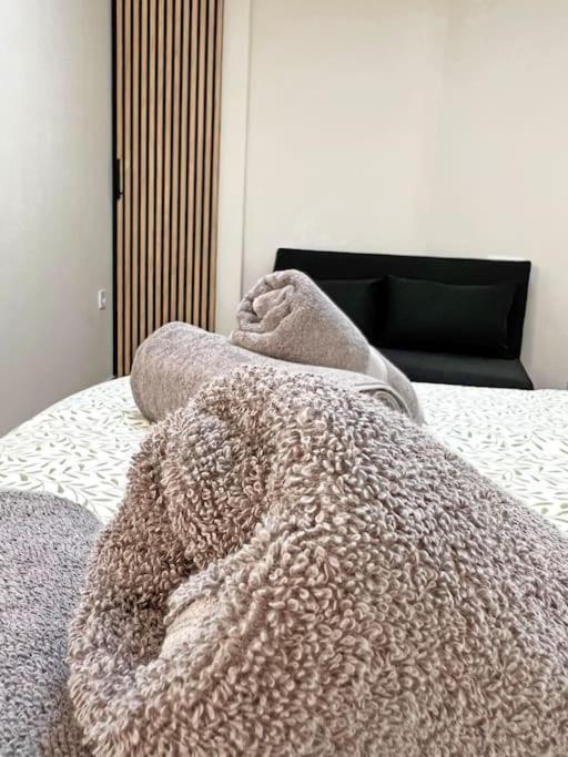 Apartament Nuevo, Plaza De Toros, Airc Alicante Zewnętrze zdjęcie